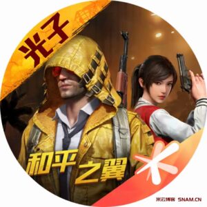 和平精英-Didor博客