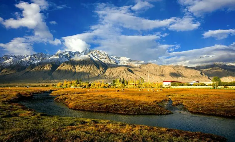 图片[1]-知者不惑，仁者不忧，勇者不惧。-Didor博客